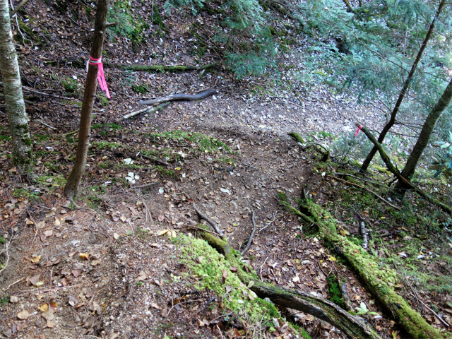 金峰山(御嶽古道/表参道)登山口コースガイド 水晶峠の急斜面【登山口ナビ】