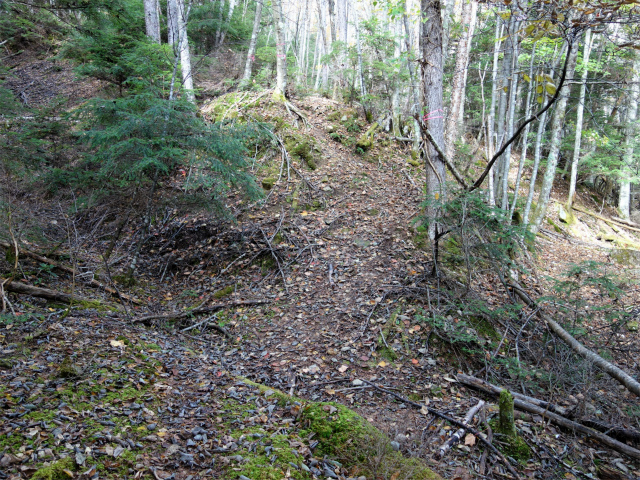 金峰山(御嶽古道/表参道)登山口コースガイド 沢筋【登山口ナビ】
