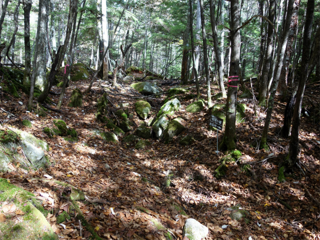 金峰山(御嶽古道/表参道)登山口コースガイド【登山口ナビ】