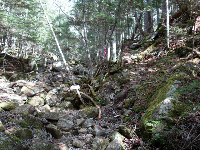 金峰山(御嶽古道/表参道)登山口コースガイド 三薙沢出合【登山口ナビ】
