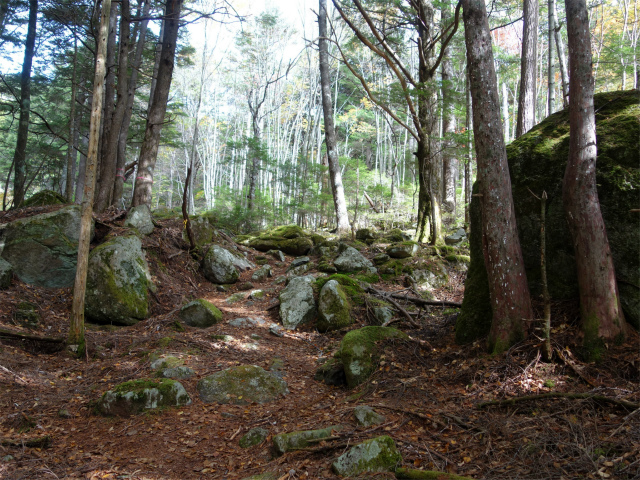 金峰山・五丈石(御嶽古道/表参道)登山口コースガイド【登山口ナビ】
