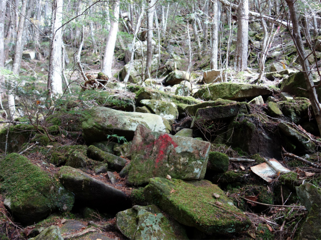 金峰山(御嶽古道/表参道)登山口コースガイド 露岩【登山口ナビ】