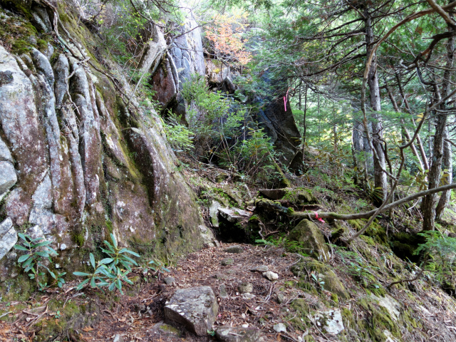 金峰山(御嶽古道/表参道)登山口コースガイド 岩稜の急登【登山口ナビ】