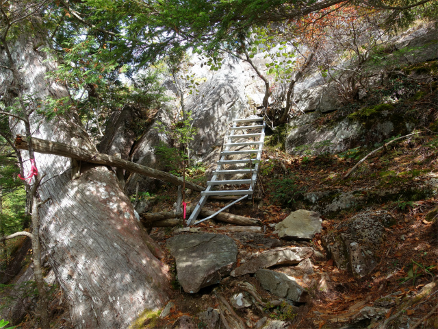 金峰山(御嶽古道/表参道)登山口コースガイド ハシゴ【登山口ナビ】