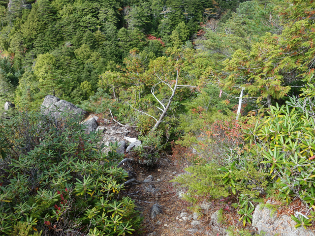 金峰山(御嶽古道/表参道)登山口コースガイド 【登山口ナビ】