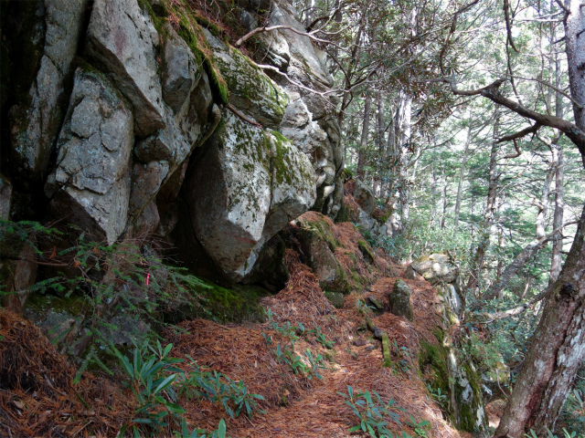 金峰山(御嶽古道/表参道)登山口コースガイド 岩稜【登山口ナビ】