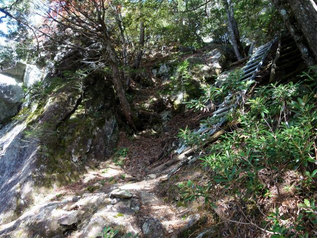 金峰山(御嶽古道/表参道)登山口コースガイド 梯子【登山口ナビ】