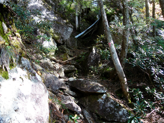 金峰山(御嶽古道/表参道)登山口コースガイド 梯子【登山口ナビ】