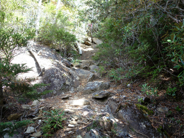 金峰山(御嶽古道/表参道)登山口コースガイド【登山口ナビ】
