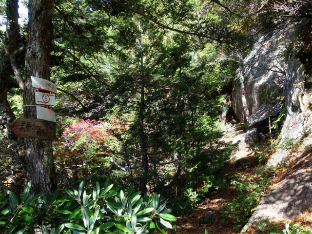 金峰山(御嶽古道/表参道)登山口コースガイド ロープのトラバース【登山口ナビ】