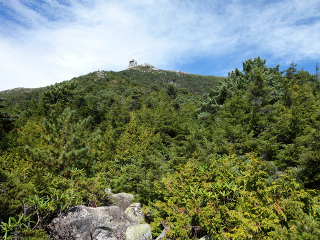 金峰山(御嶽古道/表参道)登山口コースガイド 岩稜のハイマツ帯【登山口ナビ】