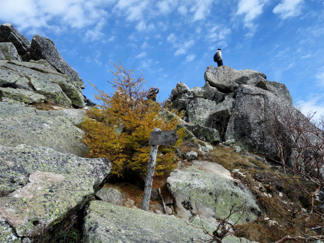 金峰山(御嶽古道/表参道)登山口コースガイド 分岐【登山口ナビ】
