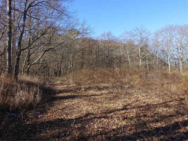 茅ヶ岳(観音峠~金ヶ岳)登山口コースガイド 電波塔跡【登山口ナビ】