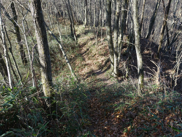 茅ヶ岳(観音峠~金ヶ岳)登山口コースガイド 鞍部【登山口ナビ】