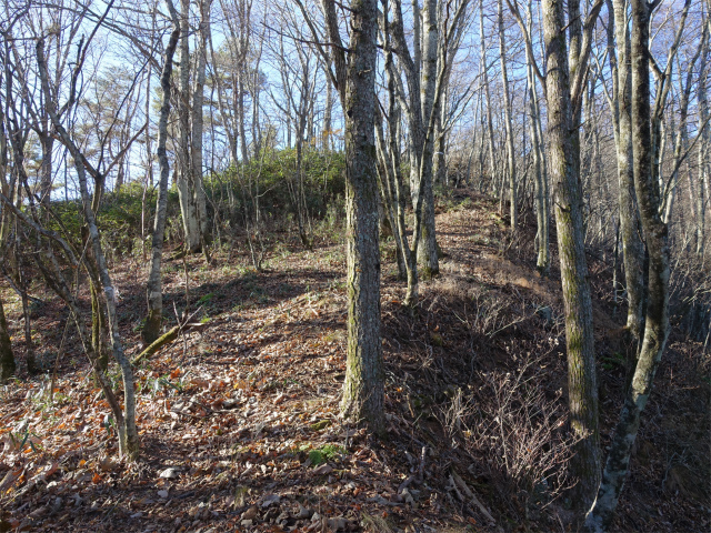 茅ヶ岳(観音峠~金ヶ岳)登山口コースガイド 登り返し【登山口ナビ】