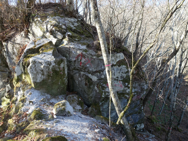茅ヶ岳(観音峠~金ヶ岳)登山口コースガイド 岩稜【登山口ナビ】