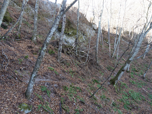 茅ヶ岳(観音峠~金ヶ岳)登山口コースガイド トラバース【登山口ナビ】