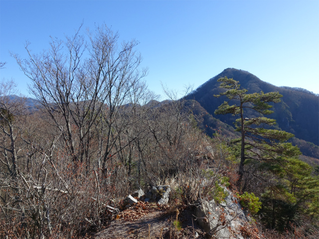 茅ヶ岳(観音峠~金ヶ岳)登山口コースガイド 痩せ尾根【登山口ナビ】