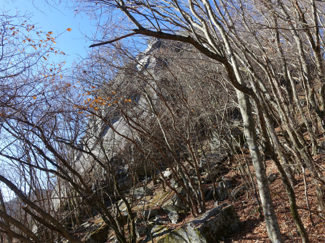 茅ヶ岳(観音峠~金ヶ岳)登山口コースガイド 船首岩【登山口ナビ】