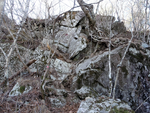 茅ヶ岳(観音峠~金ヶ岳)登山口コースガイド 船首岩の急斜面【登山口ナビ】