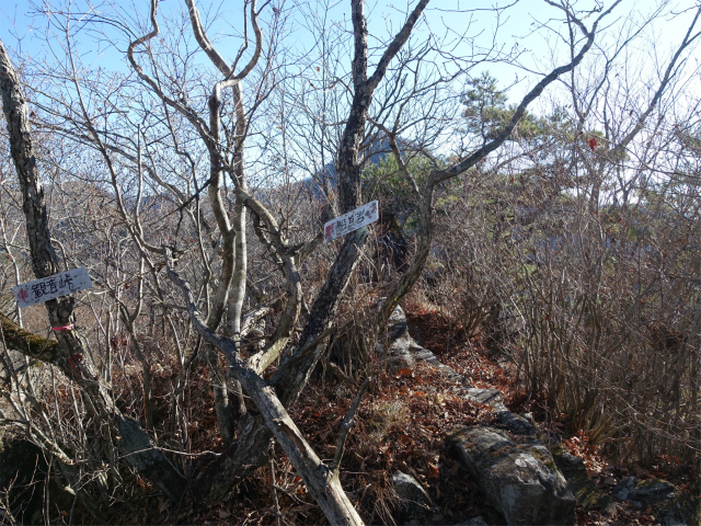 茅ヶ岳(観音峠~金ヶ岳)登山口コースガイド 船首岩【登山口ナビ】