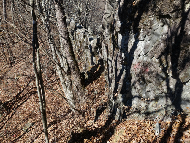 茅ヶ岳(観音峠~金ヶ岳)登山口コースガイド 痩せ尾根【登山口ナビ】