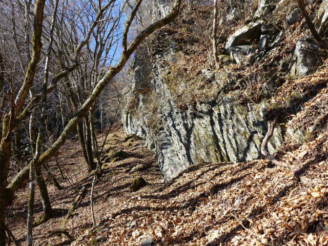茅ヶ岳(観音峠~金ヶ岳)登山口コースガイド 岩稜のトラバース【登山口ナビ】