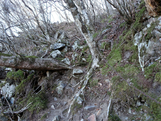 茅ヶ岳(観音峠~金ヶ岳)登山口コースガイド ロープ【登山口ナビ】