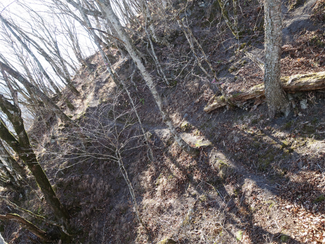 茅ヶ岳(観音峠~金ヶ岳)登山口コースガイド トラバース【登山口ナビ】