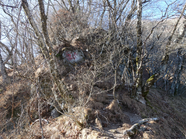 茅ヶ岳(観音峠~金ヶ岳)登山口コースガイド 急登【登山口ナビ】