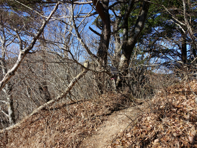 茅ヶ岳(観音峠~金ヶ岳)登山口コースガイド 中岩【登山口ナビ】