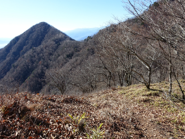 茅ヶ岳(観音峠~金ヶ岳)登山口コースガイド 中岩の鞍部【登山口ナビ】