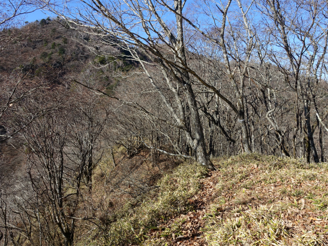 茅ヶ岳(観音峠~金ヶ岳)登山口コースガイド 平坦【登山口ナビ】