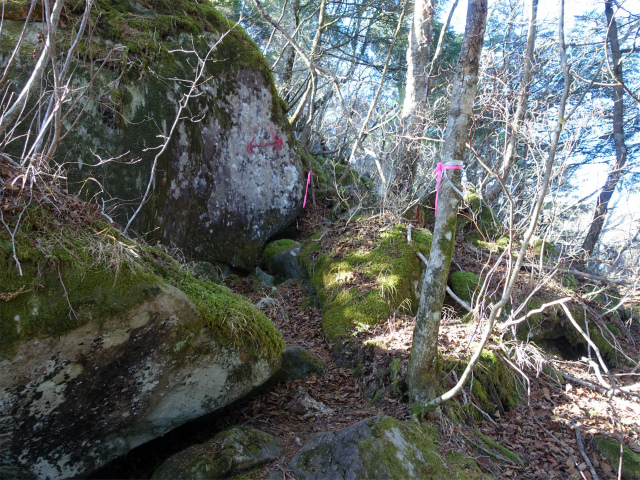 茅ヶ岳(観音峠~金ヶ岳)登山口コースガイド 小ピーク【登山口ナビ】