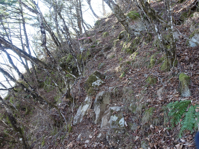 茅ヶ岳(観音峠~金ヶ岳)登山口コースガイド 急登【登山口ナビ】