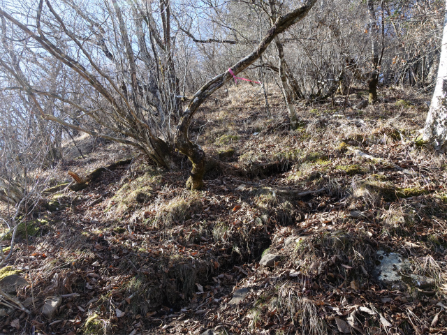 茅ヶ岳(観音峠~金ヶ岳)登山口コースガイド 急登【登山口ナビ】