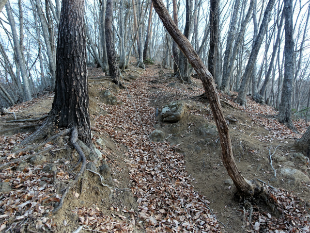 御坂黒岳(広瀬ルート)登山口コースガイド 取り付きの急斜面【登山口ナビ】