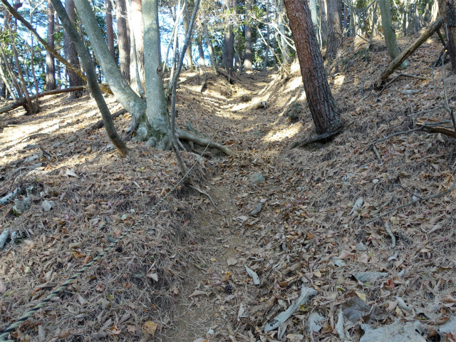 御坂黒岳(広瀬ルート)登山口コースガイド ロープ【登山口ナビ】