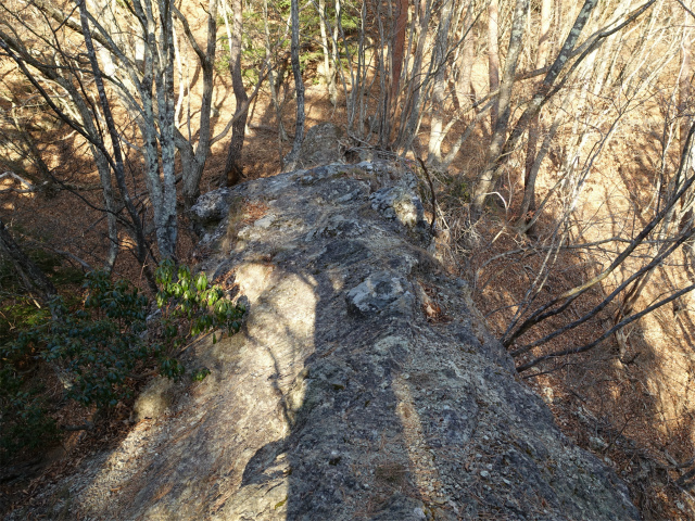 御坂黒岳(広瀬ルート)登山口コースガイド ロープ【登山口ナビ】