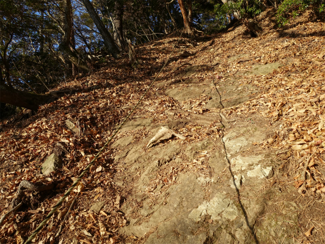 御坂黒岳(広瀬ルート)登山口コースガイド ロープの急登【登山口ナビ】