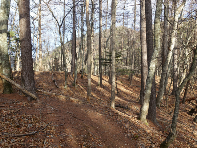 御坂黒岳(広瀬ルート)登山口コースガイド 烏帽子岩分岐【登山口ナビ】