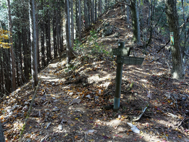 三頭山(サイグチ沢コース)登山口コースガイド 登山道合流点【登山口ナビ】