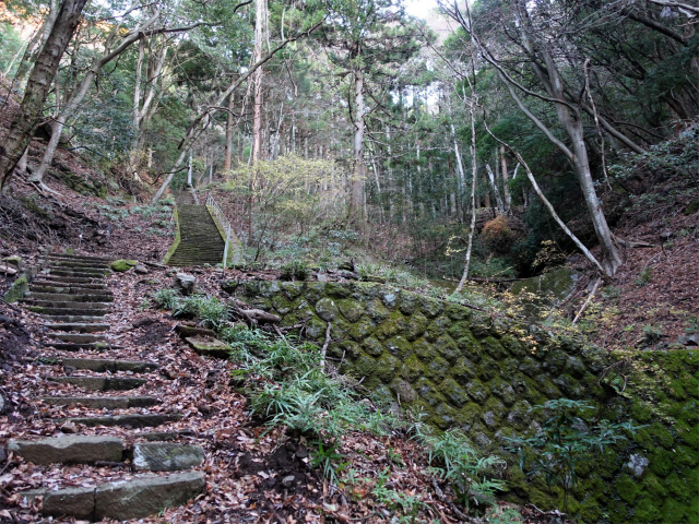大山(浄発願寺奥ノ院~梅ノ木尾根)登山口コースガイド 参道【登山口ナビ】