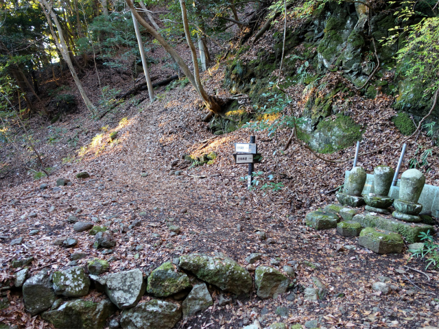 大山(浄発願寺奥ノ院~梅ノ木尾根)登山口コースガイド 奥ノ院【登山口ナビ】