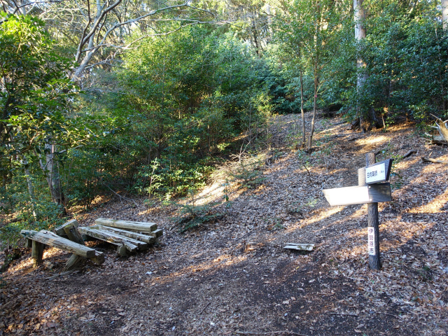 大山(浄発願寺奥ノ院~梅ノ木尾根)登山口コースガイド 日向薬師分岐【登山口ナビ】