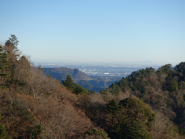 大山(浄発願寺奥ノ院~梅ノ木尾根)登山口コースガイド 痩せ尾根からの高取山の採石場【登山口ナビ】