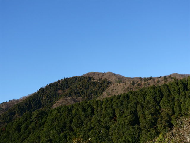 大山(浄発願寺奥ノ院~梅ノ木尾根)登山口コースガイド 痩せ尾根からの大山の眺望【登山口ナビ】