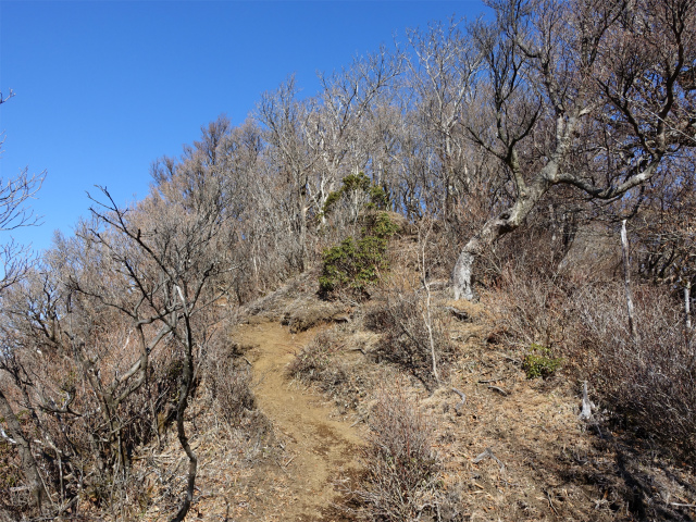 愛鷹山～位牌岳（愛鷹水神社口）登山口コースガイド 急登【登山口ナビ】