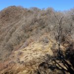 愛鷹山～位牌岳（愛鷹水神社口）登山口コースガイド 崩落斜面上部【登山口ナビ】