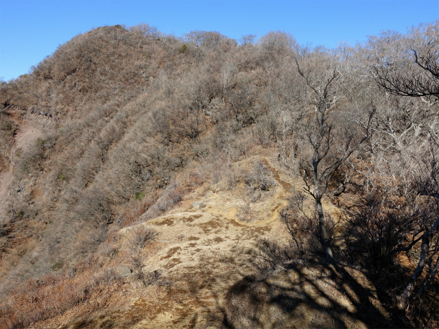 愛鷹山～位牌岳（愛鷹水神社口）登山口コースガイド 崩落斜面上部【登山口ナビ】